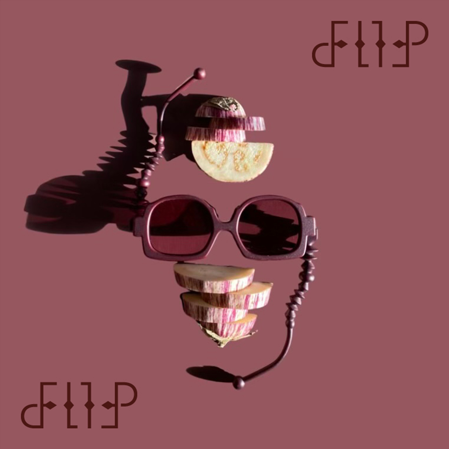 Flip-image