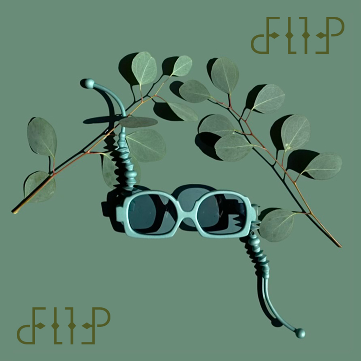 Flip-image2